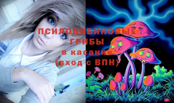 бошки Вяземский